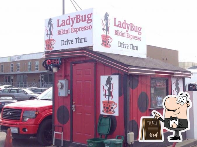 Lady Bug Bikini Barista Th Ave Sw In Seattle Restaurant Reviews