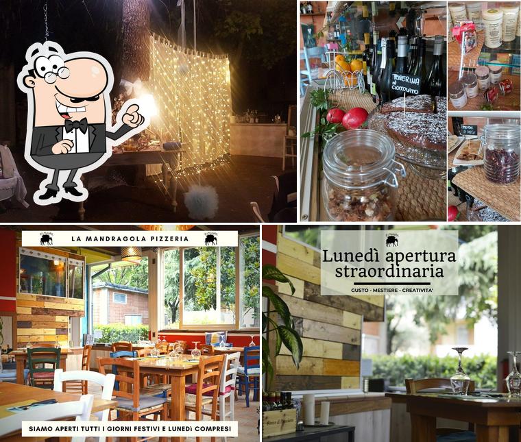 Pizzeria Bar La Mandragola