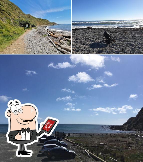 Enjoy the view outside Makara Beach WhareKai