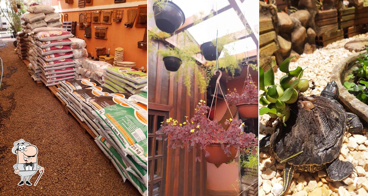 o exterior é uma característica importante do Flor Art Jóias - Floricultura e Paisagismo