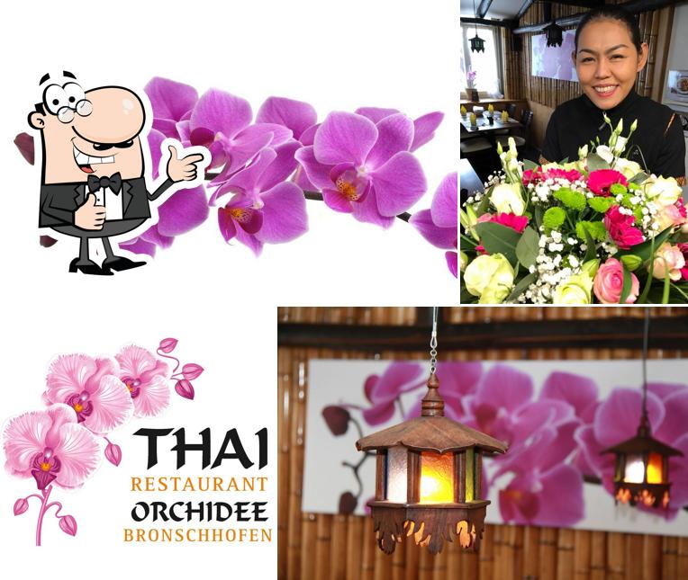 Here's a pic of Restaurant Thai Orchidee