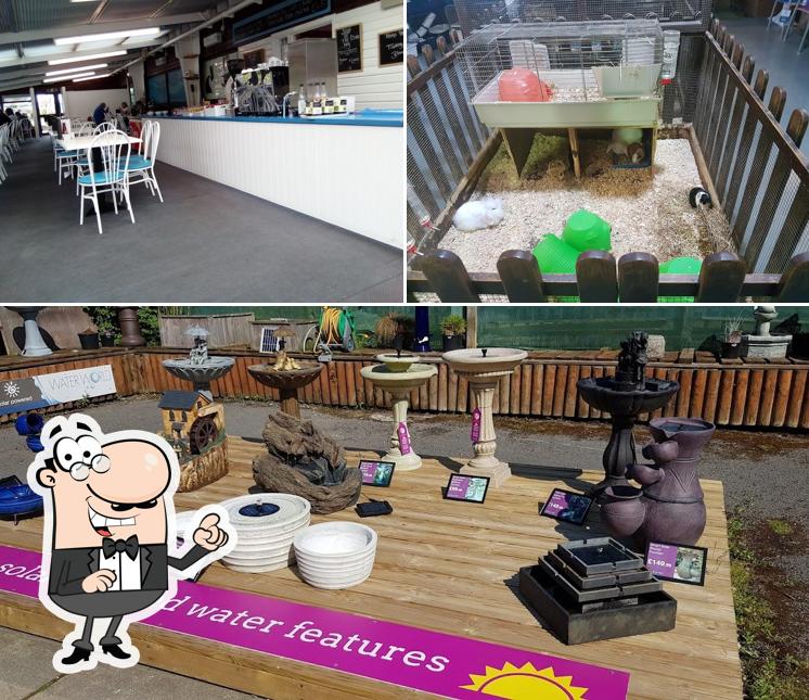 Water World Pet & Aquatic Centre in Neston - Restaurant reviews