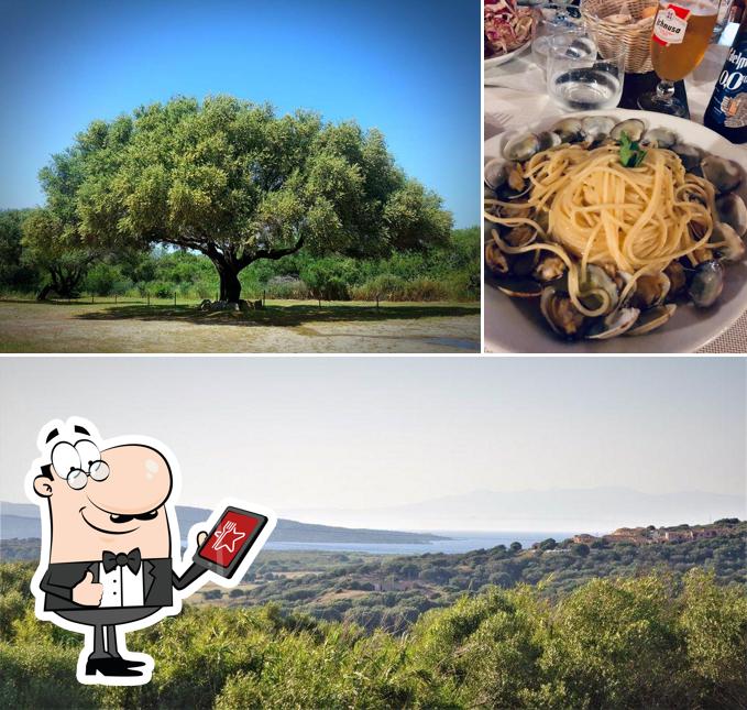 Gli esterni di Ristorante pizzeria La Capannaccia Palau