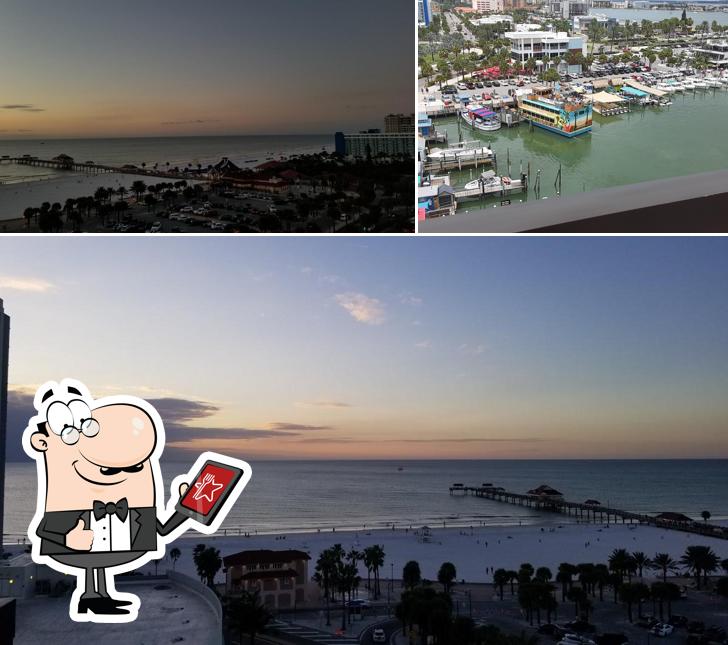 Rooftop Bar in Clearwater Restaurant reviews