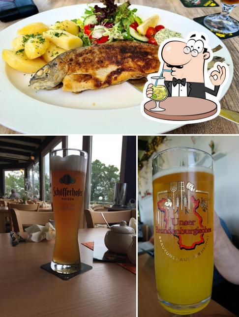 Panoramarestaurant Carlsburg, Falkenberg - Speisekarte, Preise und ...