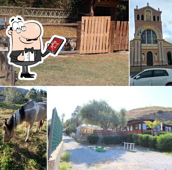 Fattoria del Tindari