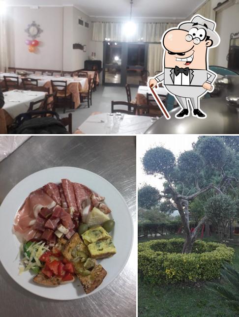 Gli esterni di Ristorante Pizzeria il Vecchio Ulivo