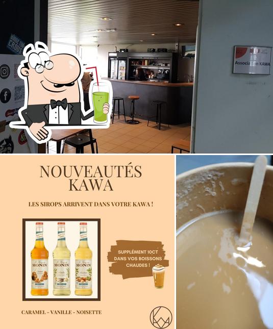 Kawa INSA HDF