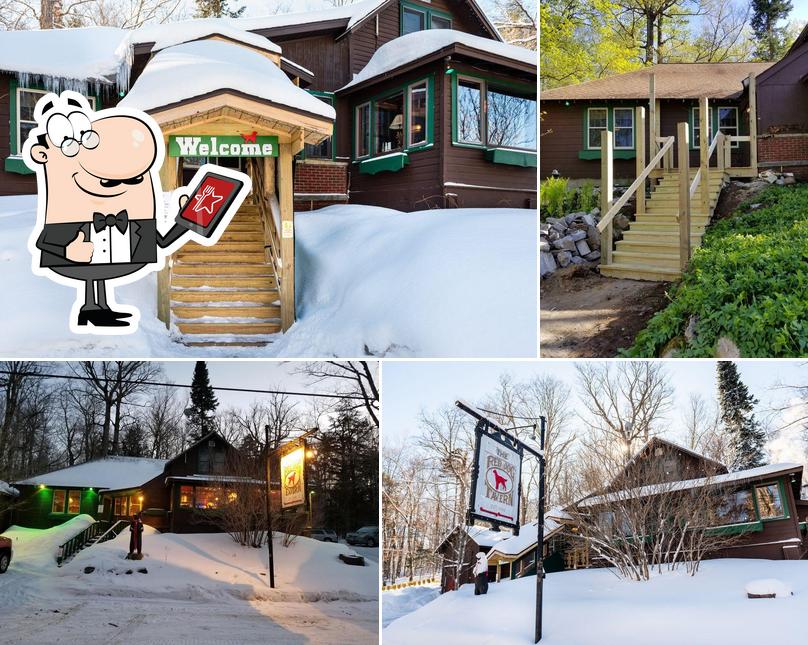 Red Dog Tavern in Eagle Bay Restaurant menu and reviews