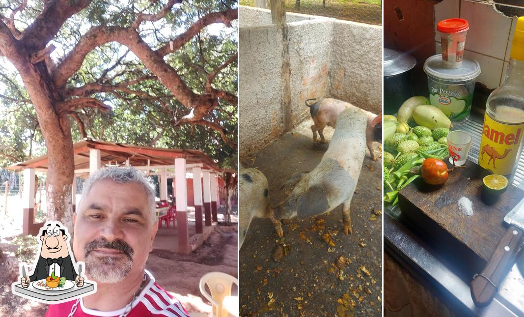 Pousada e restaurante tio Chico