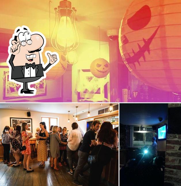 The Dog House in Norwich Restaurant reviews