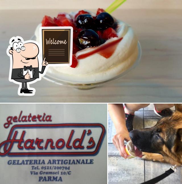 Regarder cette image de Gelateria Harnold's