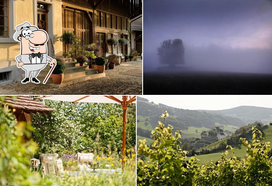 La parte exterior de Weingut zur Linde