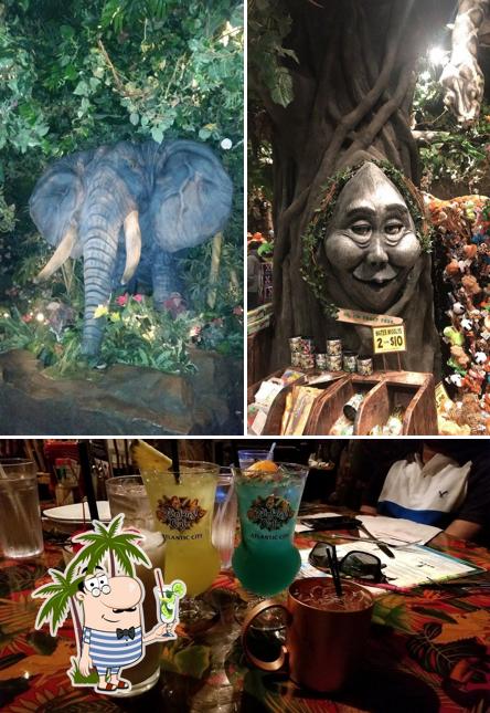 Here's a pic of Rainforest Cafe