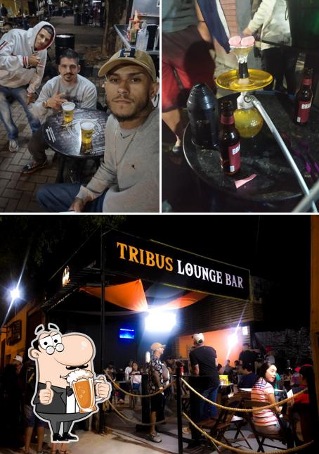 TRIBUS