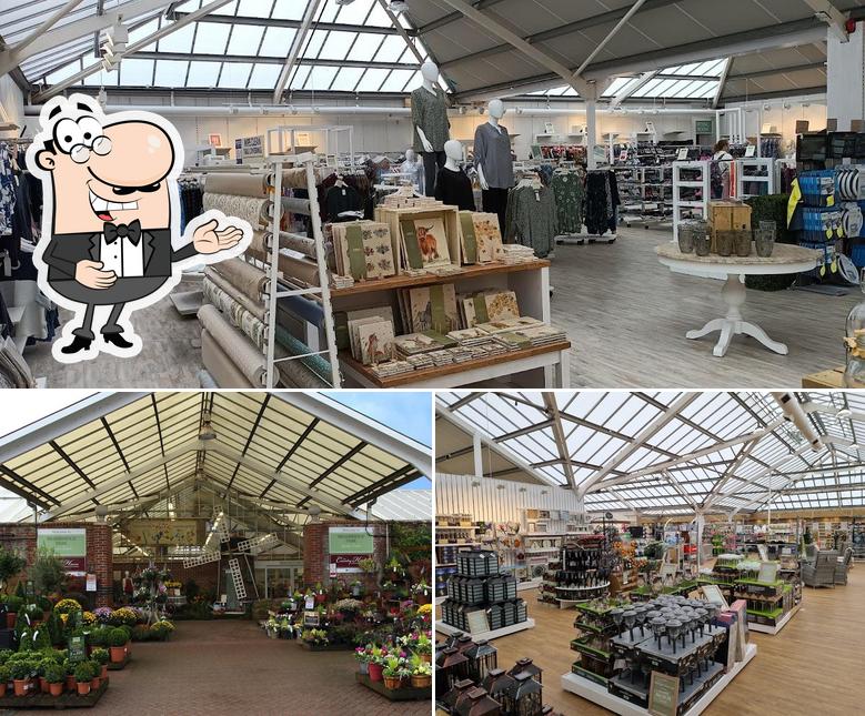 Look at this picture of Brambridge Park Garden Centre