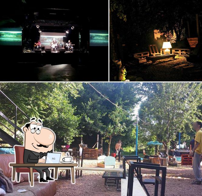 Dai un'occhiata agli interni di Brancaleone