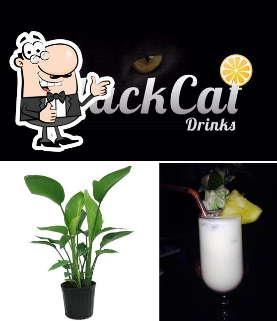 See the photo of Black Cat Drinks