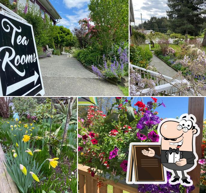 Calico Cat Tea House in Nanaimo Restaurant menu and reviews