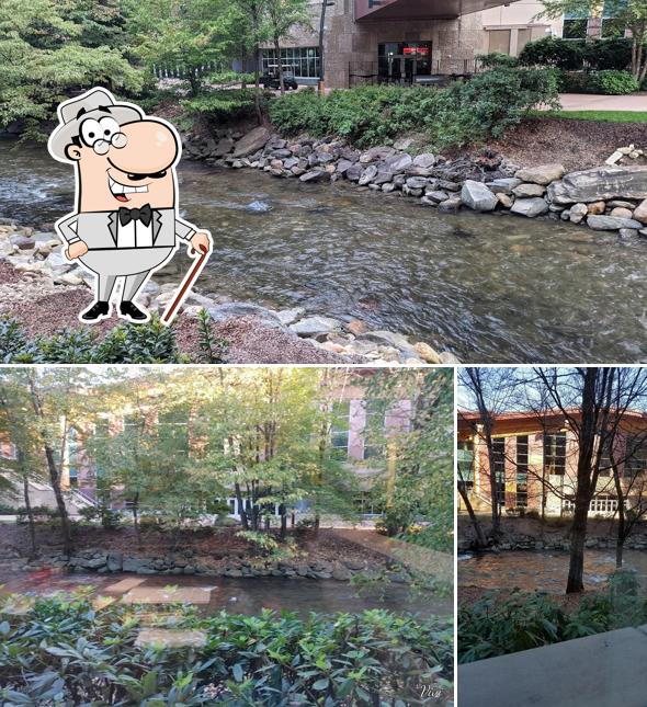 Selu Garden Café in Cherokee Restaurant reviews