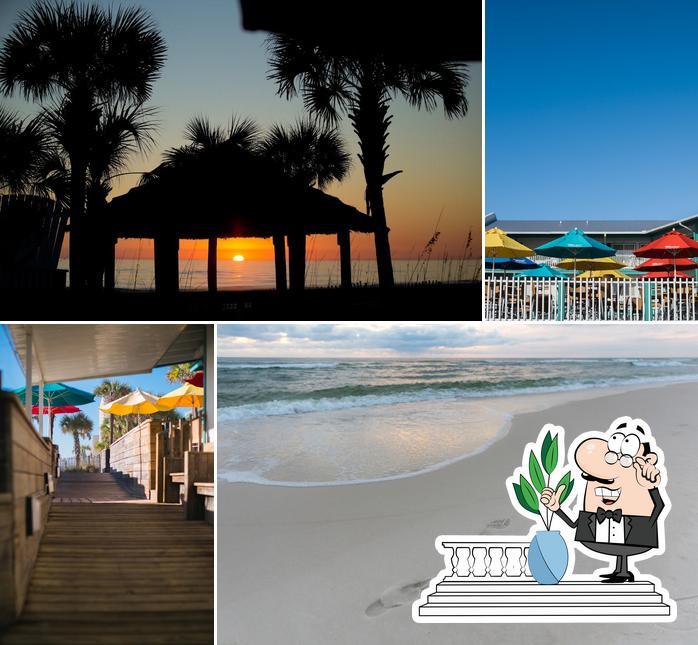 Tiki Bar at the Sandpiper Beacon in Panama City Beach Restaurant reviews