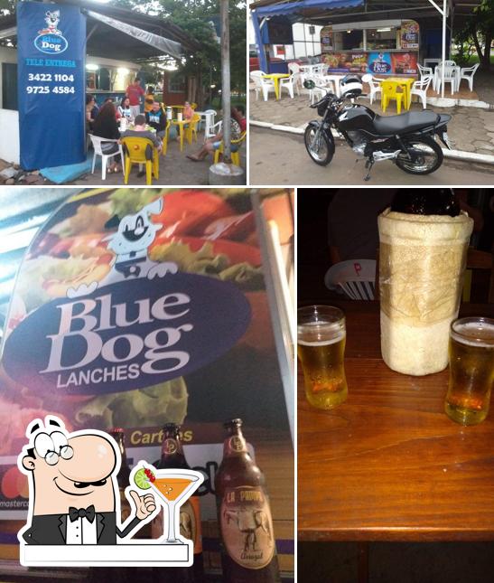 Blue Dog