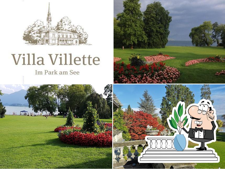 Guarda gli esterni di Villa Villette