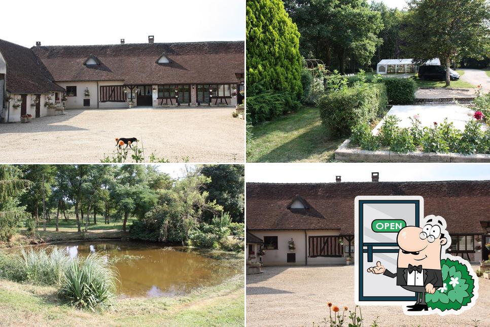 Jetez un coup d’œil à quoi ressemble Gites Auberge Loiret: l'Auberge Ferme du Tranchoir à l'extérieur