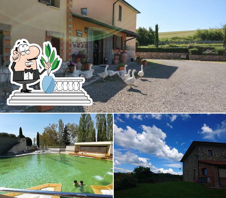 Agriturismo S. Apollinare restaurant, Casa del Corto Restaurant reviews