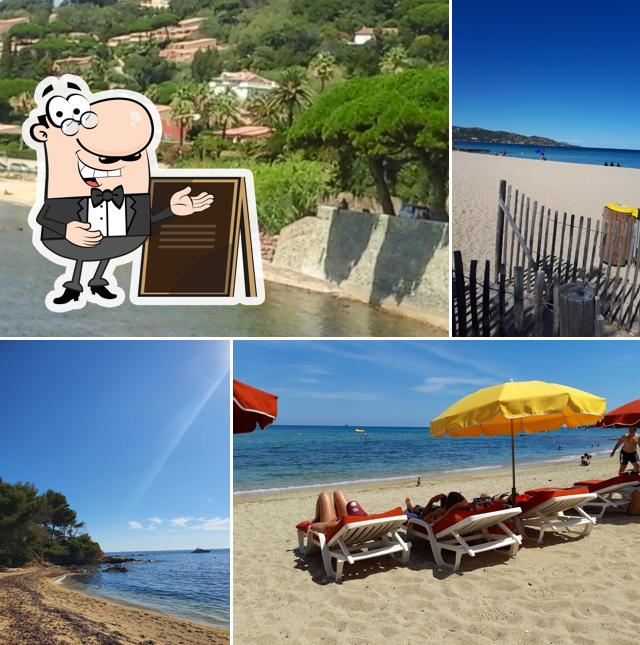 La Reine Jeanne restaurant, SainteMaxime Critiques de restaurant