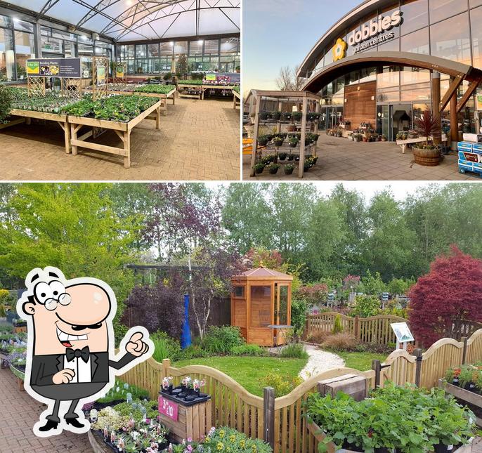 Dobbies Garden Centre Milton Keynes in Milton Keynes Restaurant reviews
