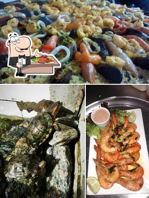 Experimente frutos do mar no Restaurante Chef Sandra Zen