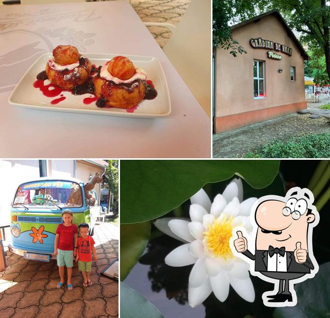 Gradina de vara Poiana - Baile Felix