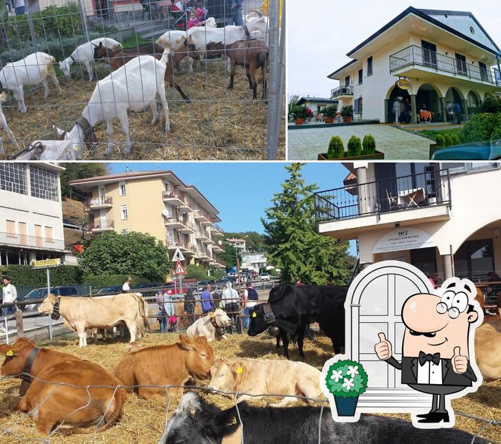 Guarda gli esterni di Il Baretto