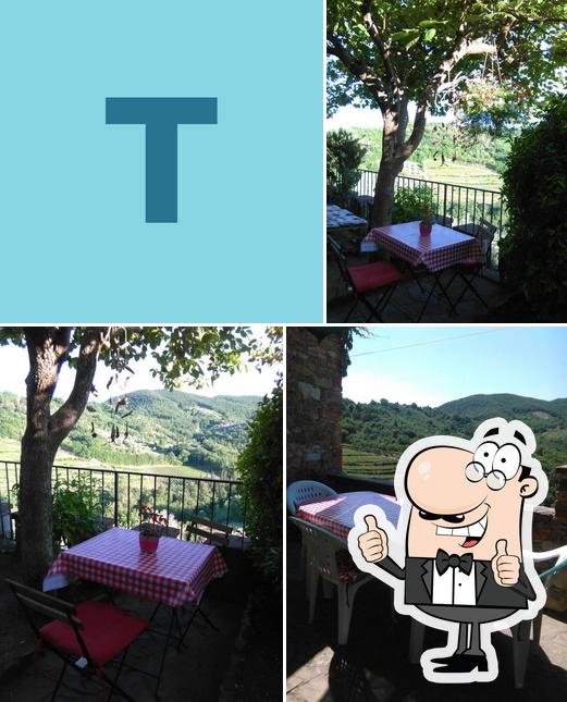 Tana Del Lupo Restaurant Italy Via Montefioralle Restaurant Reviews