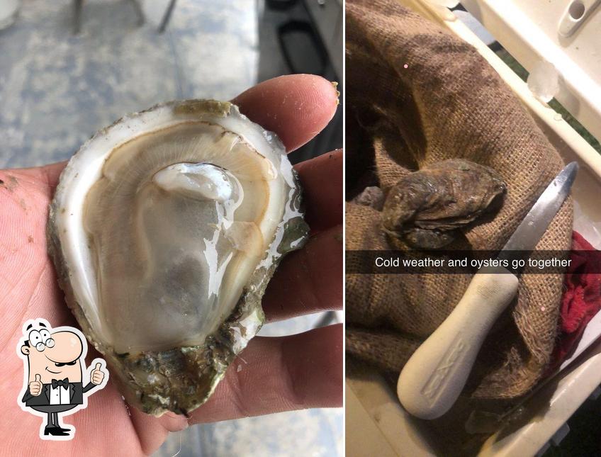 Wilsons Oysters in Houma Restaurant reviews