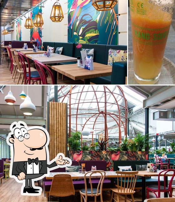 This is the picture showing interior and beverage at Restaurant Amazonica (Wilhelma Stuttgart)