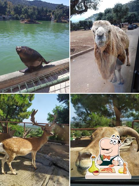 Scegli tra i vari piatti di mare proposti a Zoo