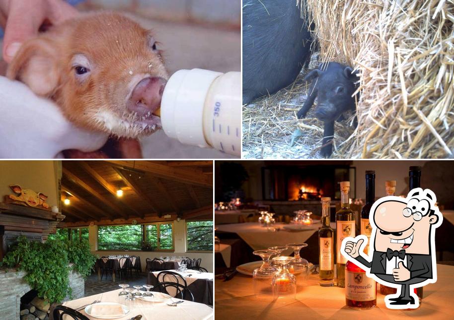 Agriturismo Cà Guidotti