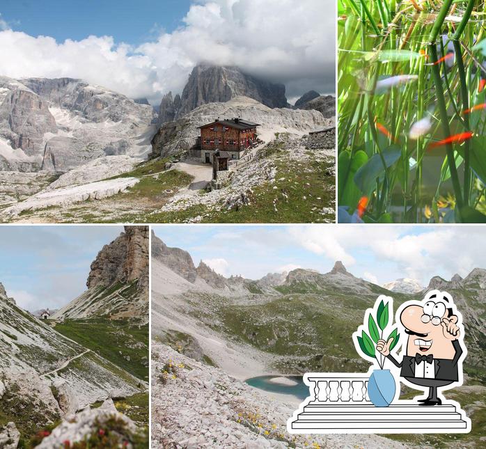 Gli esterni di Hotel Greif Bolzano