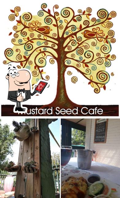 Regarder cette image de Mustard Seed