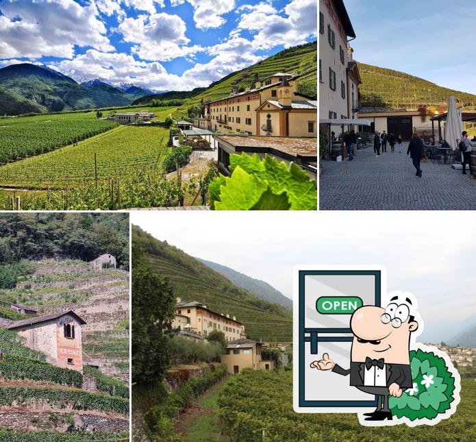 Tenuta La Gatta