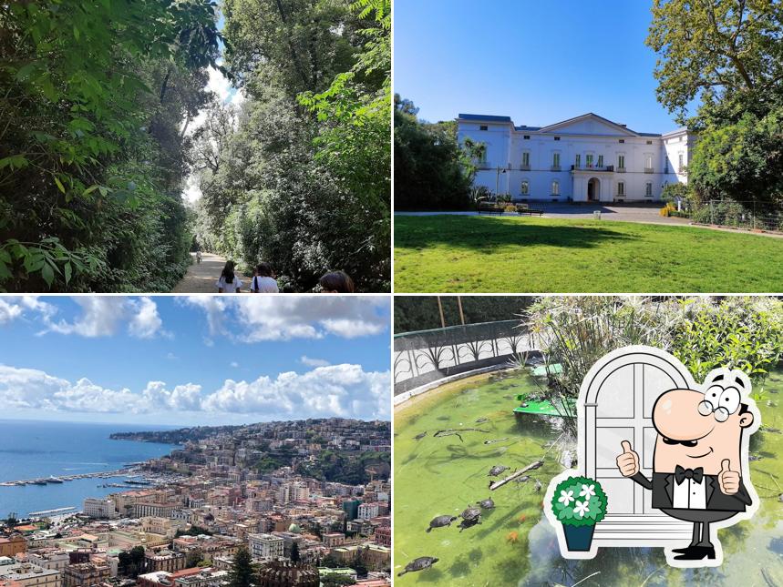 Goditi la vista dall'area esterna di Museo Nazionale della Ceramica Duca di Martina