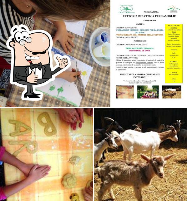 Agriturismo La Chioccia