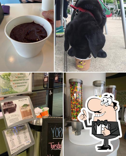 Y'OPA Frozen Yogurt in Portage Restaurant menu and reviews