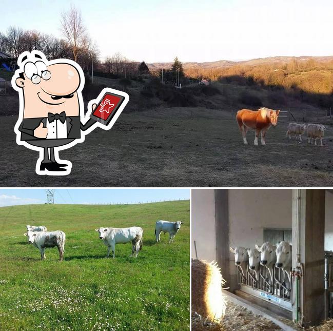 Gli esterni di Agriturismo Porcineta