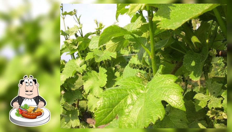 Az.Agr. MIRAVAL di Miraval Giovanni
