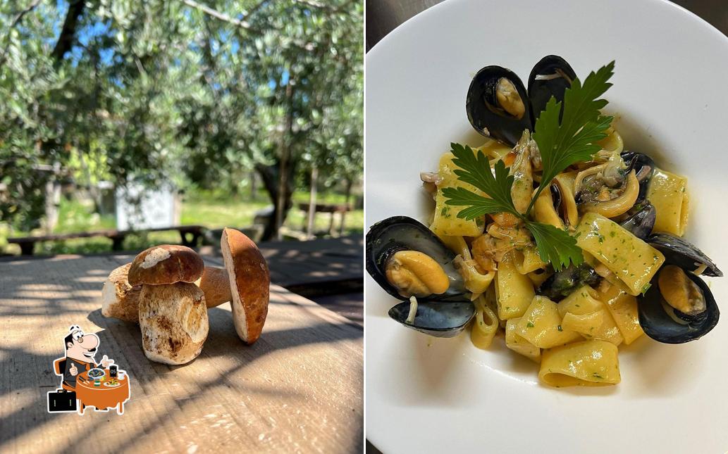 Agriturismo Morus Alba Gargano