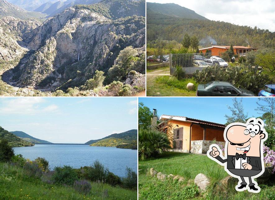 Guarda gli esterni di Agriturismo Il Pesco