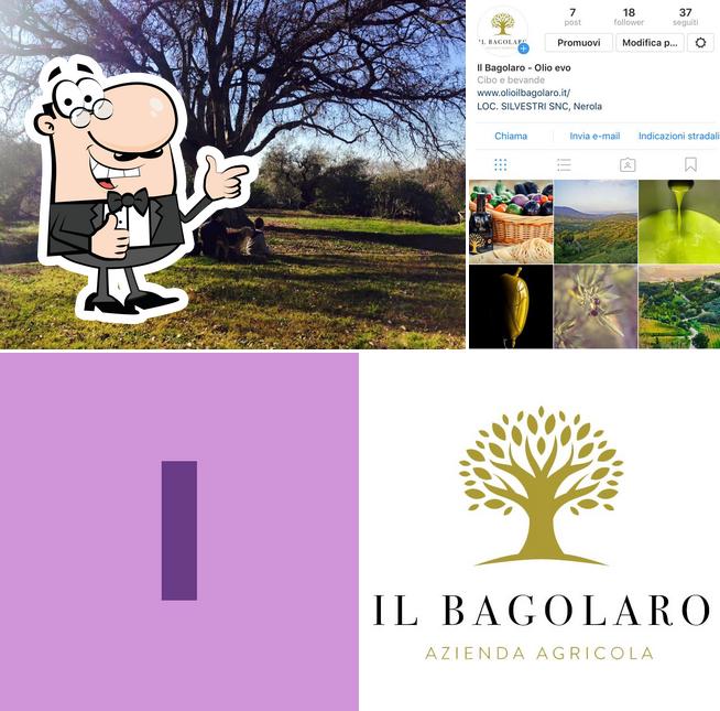 Il Bagolaro agriturismo